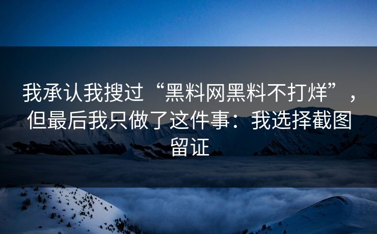 我承认我搜过“黑料网黑料不打烊”，但最后我只做了这件事：我选择截图留证